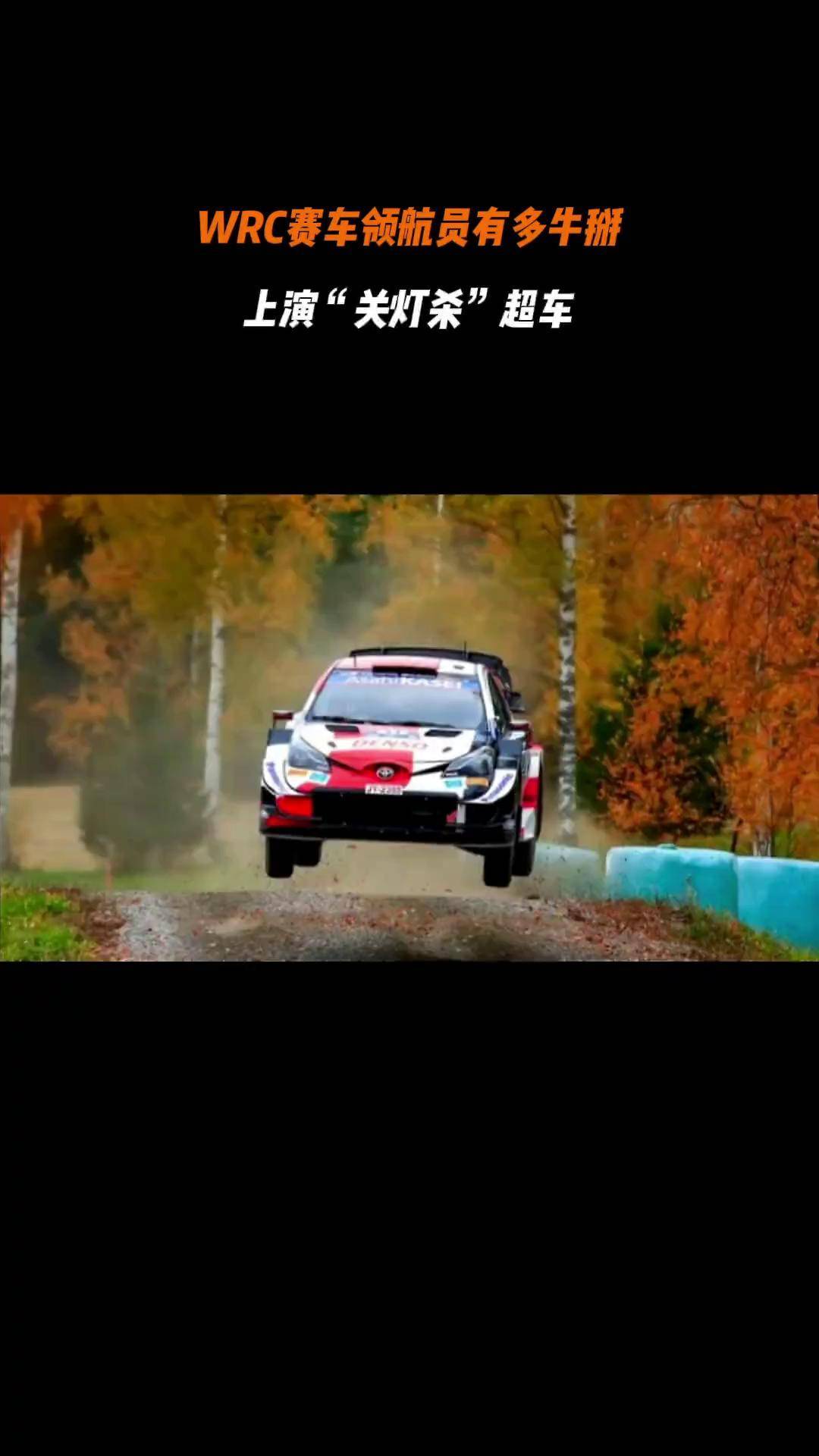 leyu.com-WRC冠军之路：车手如何攀登巅峰