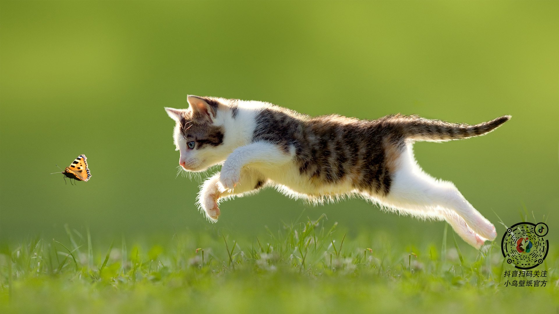 史上最震撼的季后赛瞬间,激励一代又一代球迷,季后赛最有价值球员