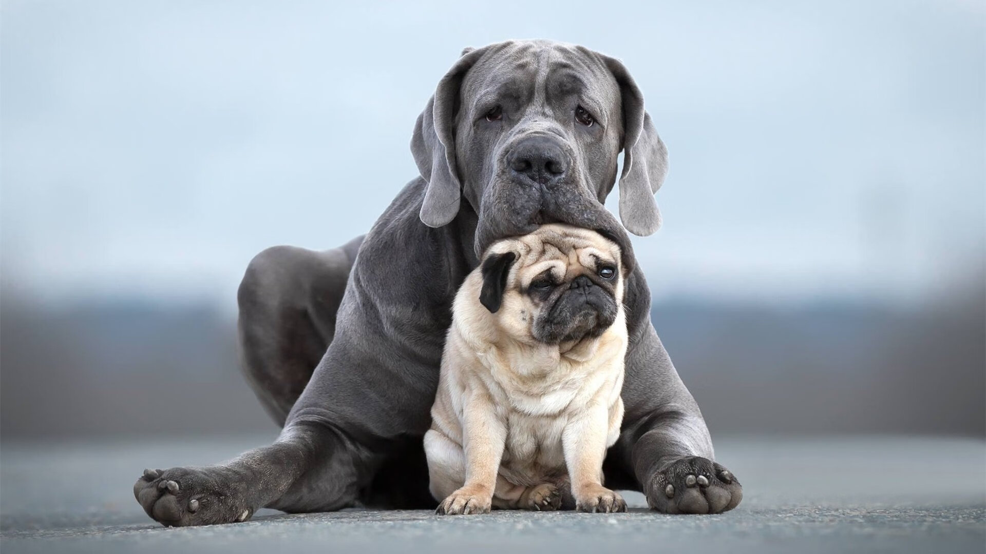 快船推出沉浸式观赛体验包,场馆科技升级引关注,快船球队纪录片