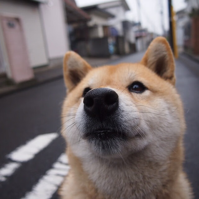 乐鱼体育平台app下载-足球青训VR学习平台实现实景互动教学，青少年足球培训app