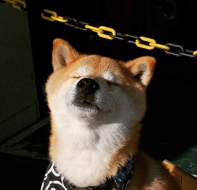 乐鱼（LEYU）体育-足球青训中心与高校建立合作培养通道，足球青训和足球学校区别