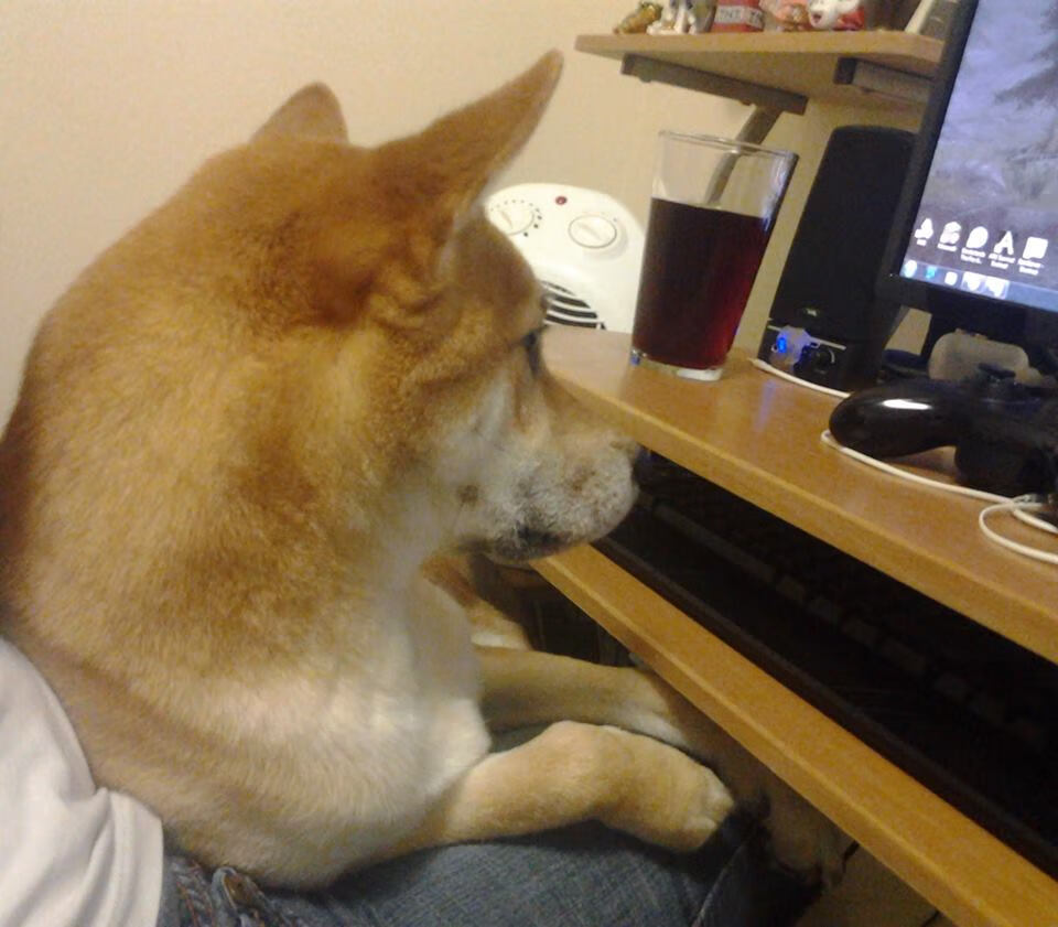 大名单出炉,新一届国家队备战正酣,新一届中国国家队