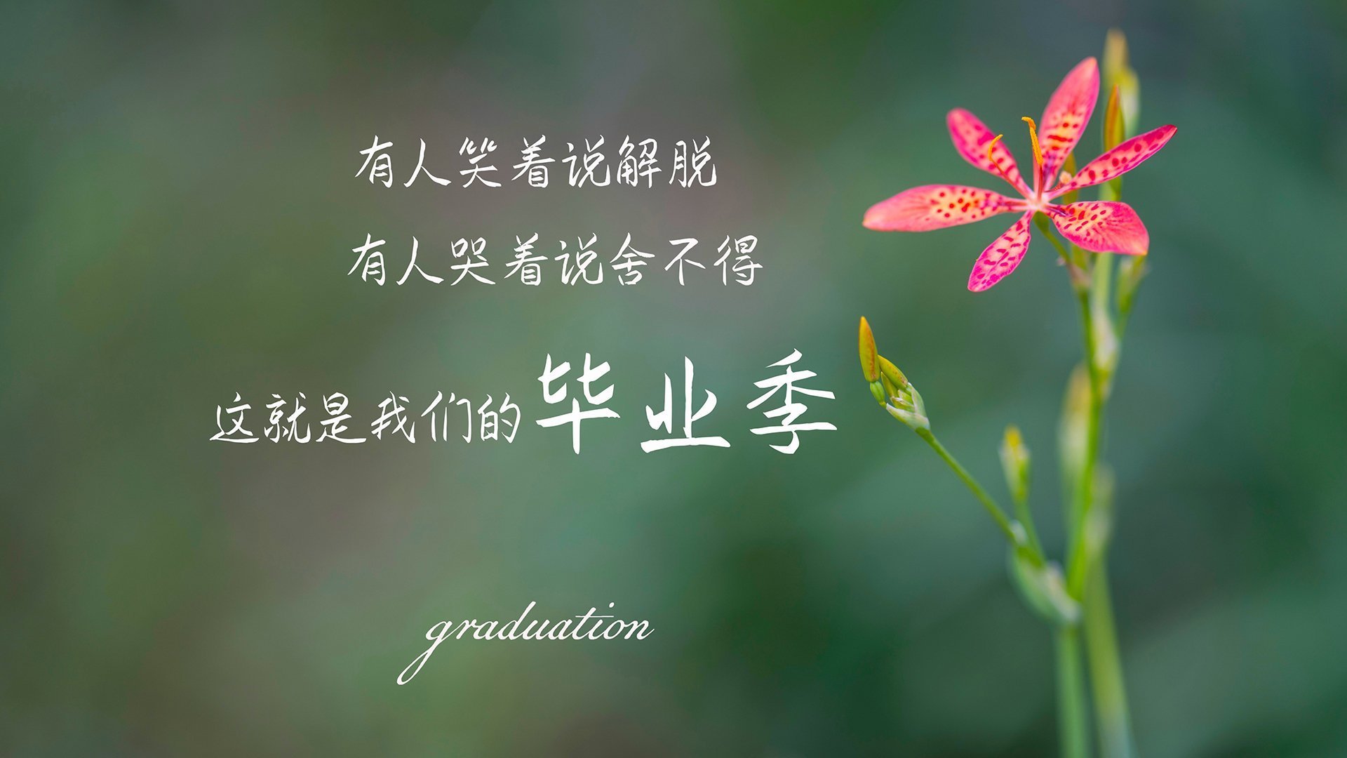 乐鱼电竞-欧国联赛业余联赛迎来高潮，球迷狂热，欧国联赛程表2020