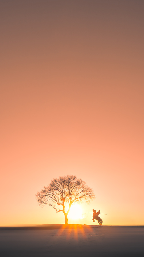 观众热情迎来世界级足球赛事，世界足球竞赛