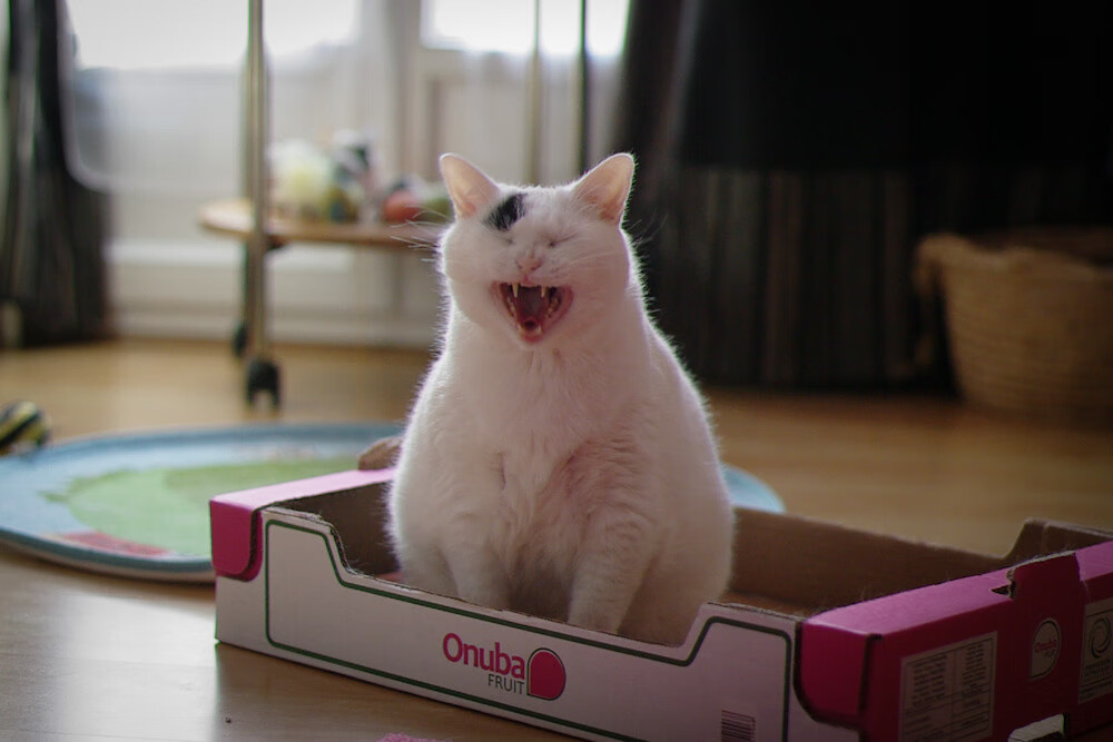 乐鱼体育平台app下载-韩国星际争霸赛事推广力度加大，韩国星际争霸联赛