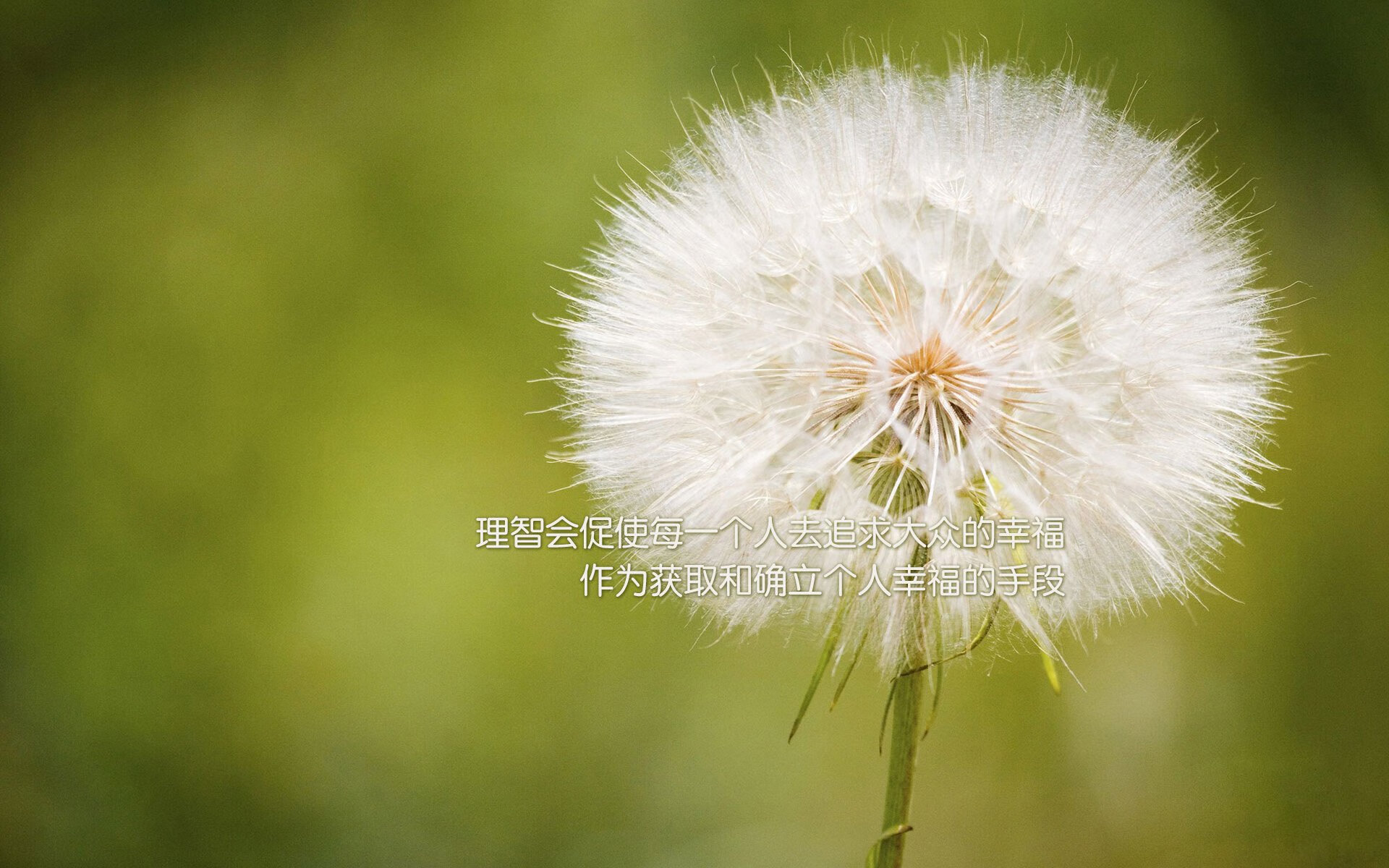 韩国星际争霸赛事粉丝互动活跃,韩国星际争霸比赛