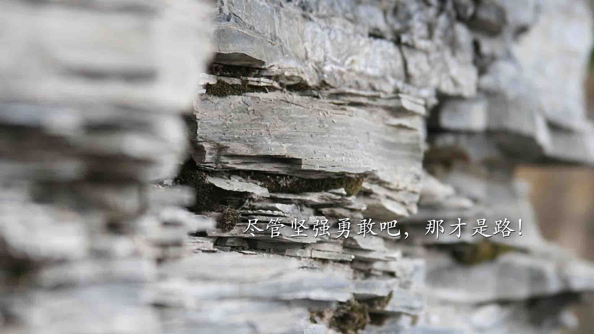 乐鱼（中国）体育官方网站-中国青少年篮球课程体系优化研究，中国青少年篮球训练教学大纲(2013版)