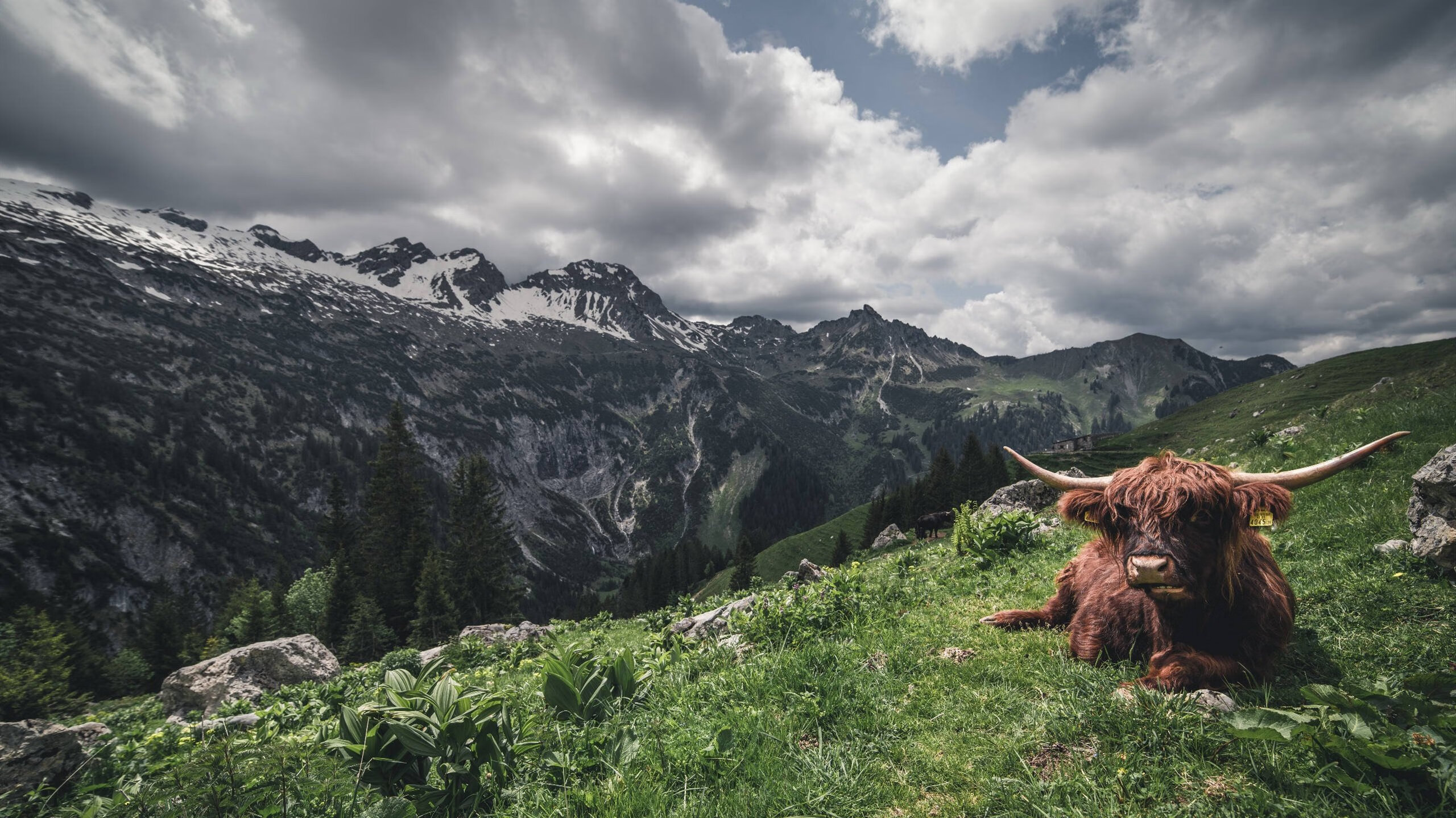 运动康复课程设置在高校体育专业中的整合研究，运动康复教育学专业