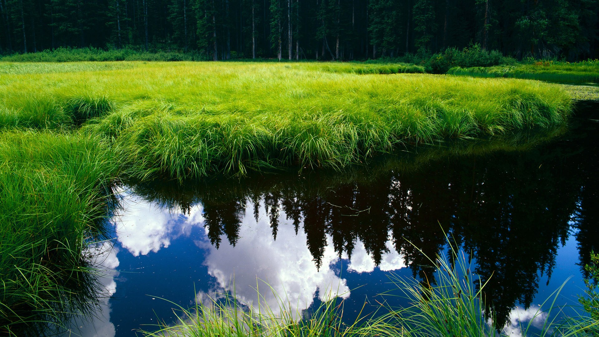 leyu.com-“滚球运动：成都三叉湖赛场引爆运动热潮”