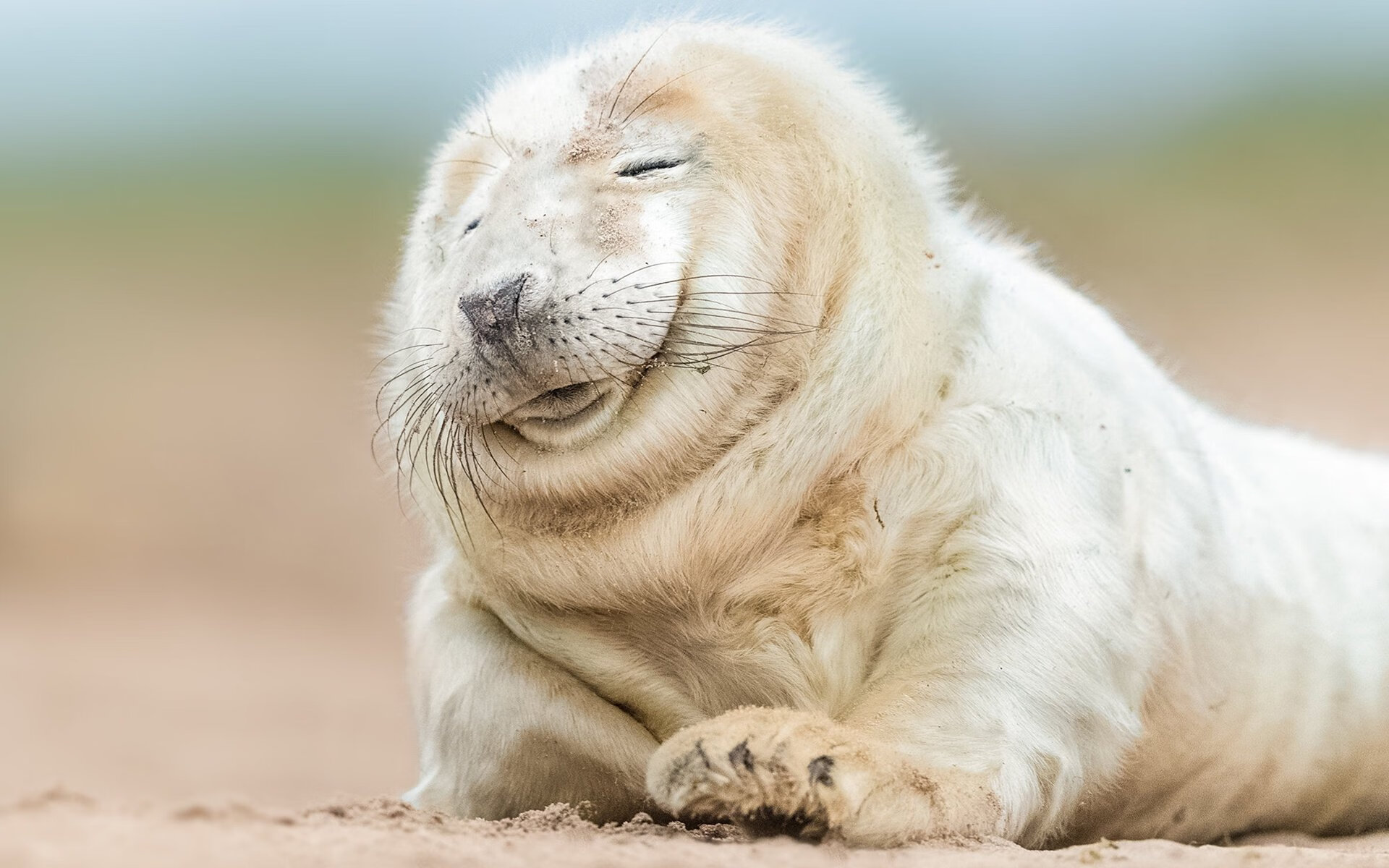 大数据平台支持运动表现分析，问题_大数据驱动下的体育究竟是风险还是不确定事件