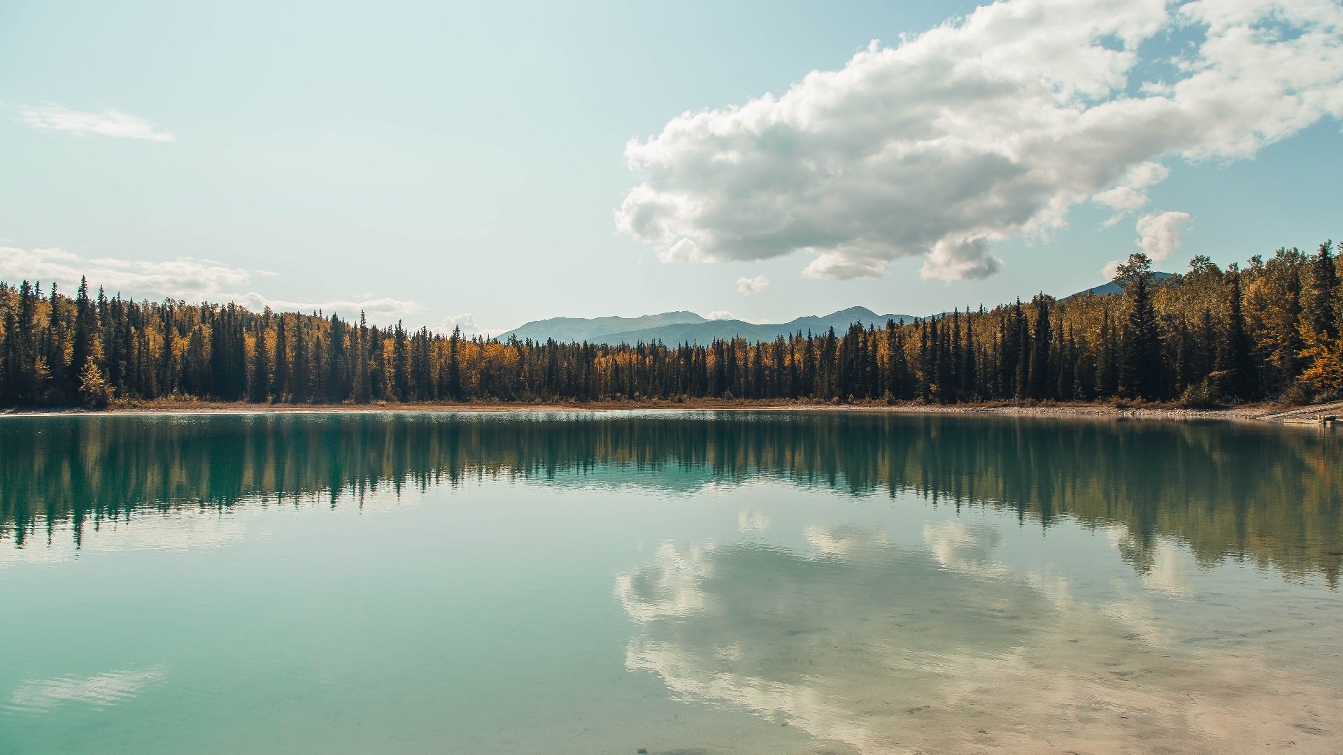 女子蝶泳换气节奏变化:中美选手路径分野,蝶泳动作要领图解及换气技巧