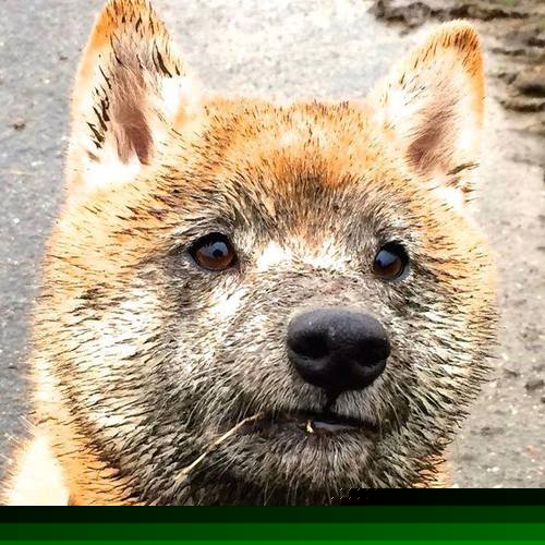 LEYU乐鱼体育官方网站-蝶泳转身效率显著提升，蝶泳转身的动作要领