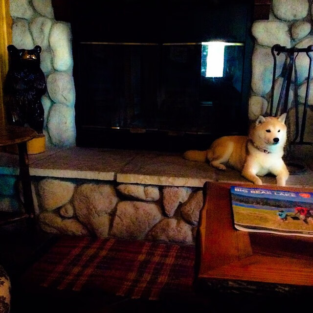 球队视频资料库升级球员可以随时回顾比赛提高学习效率,球队数据