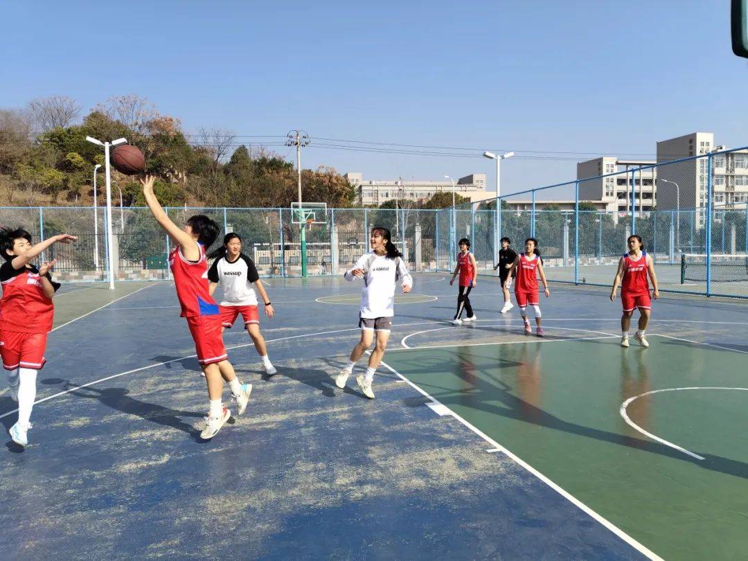 包含乐鱼体育：中国篮球国际训练营，提升技能拓展视野的词条