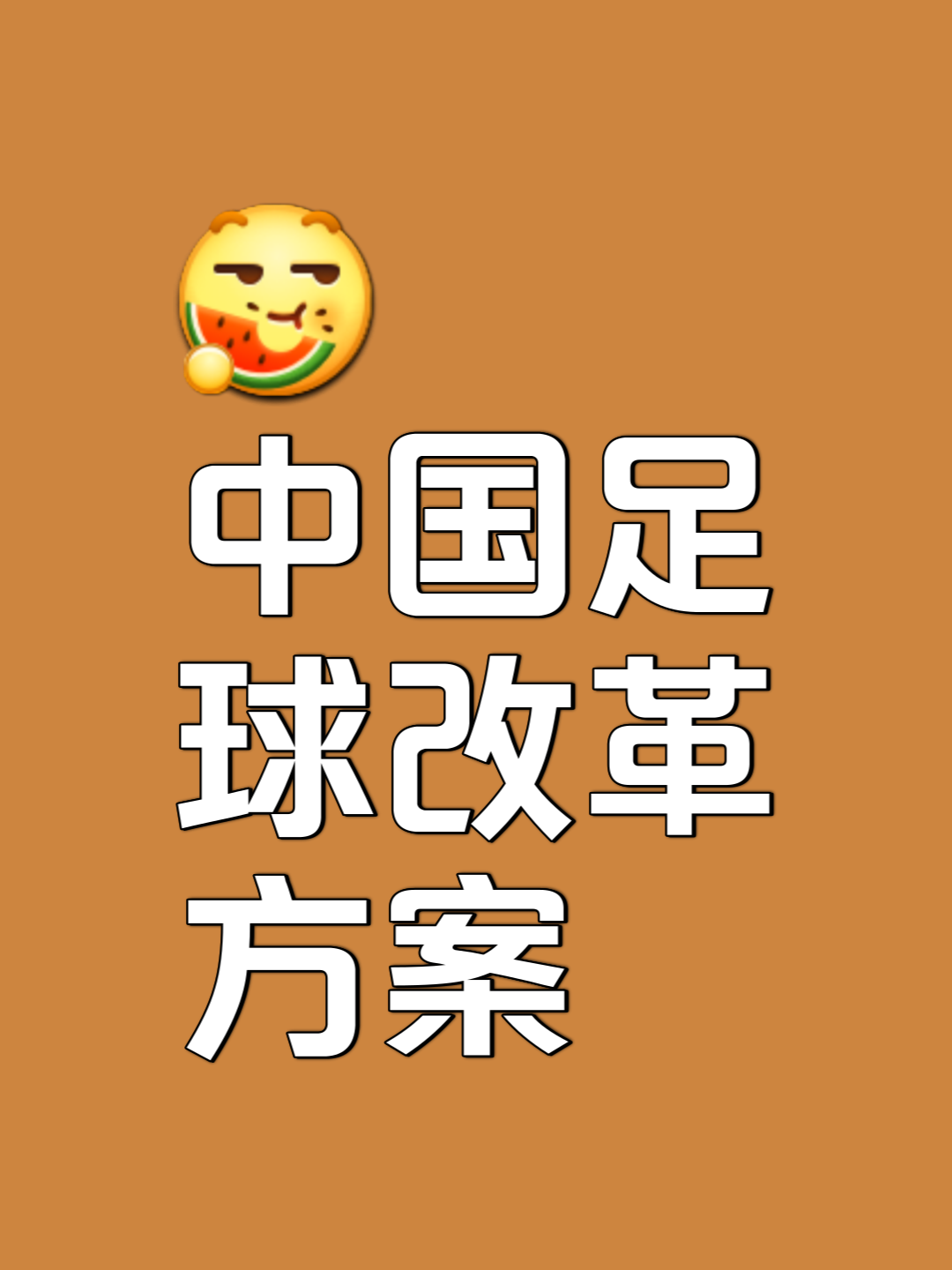 乐鱼体育:中国足球可持续发展：经济效益与社会效益的简单介绍