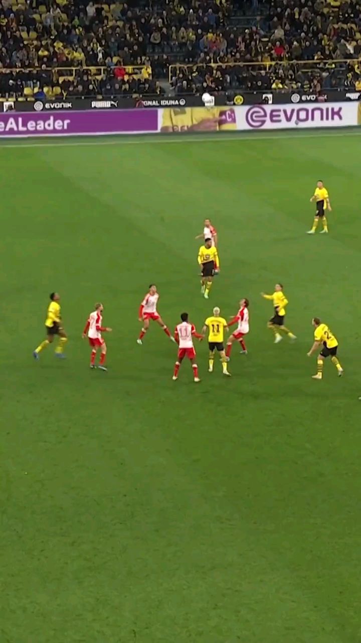 乐鱼体育:中国足球信息化建设：提升管理效率，优化服务水平的简单介绍